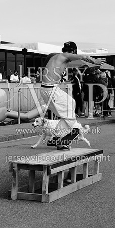 DSC_2566.NEF-01
