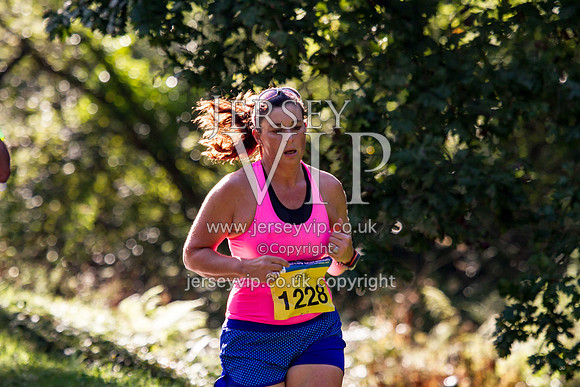 JM2016WWVML (141)