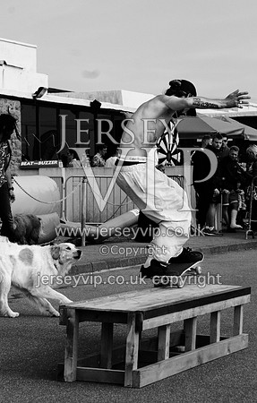 DSC_2561.NEF-01