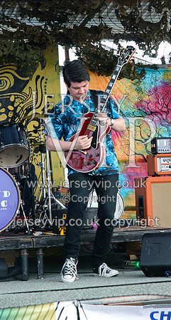 DSC_2596.NEF-01